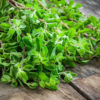 MARJORAM SWEET OIL - Image 2