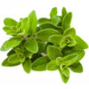 MARJORAM SWEET OIL