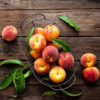 PEACH KERNEL OIL - Image 2
